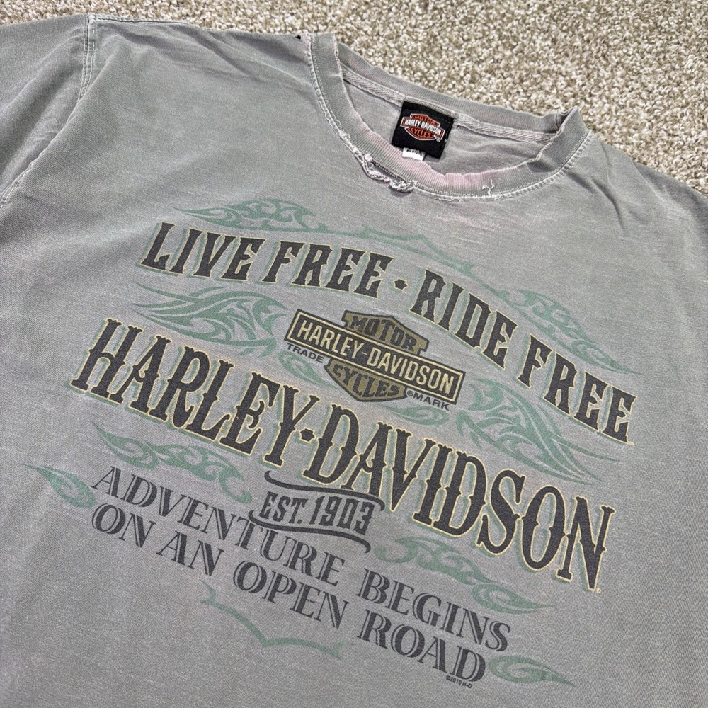 Super Faded Harley Davidson Tee Y2k Distressed Size Large Essentials New Mexico